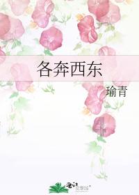 摇摆直升机比赛